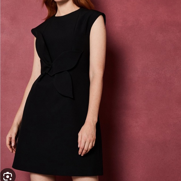 Ted Baker London Dresses & Skirts - Ted Baker dress